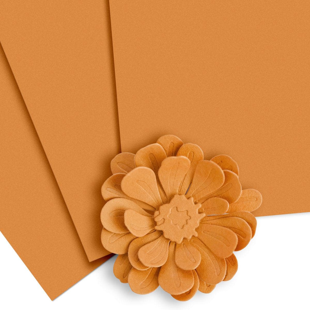 altenew-paper-more-caramel-toffee-cardstock-10-blatt-216-g image 1