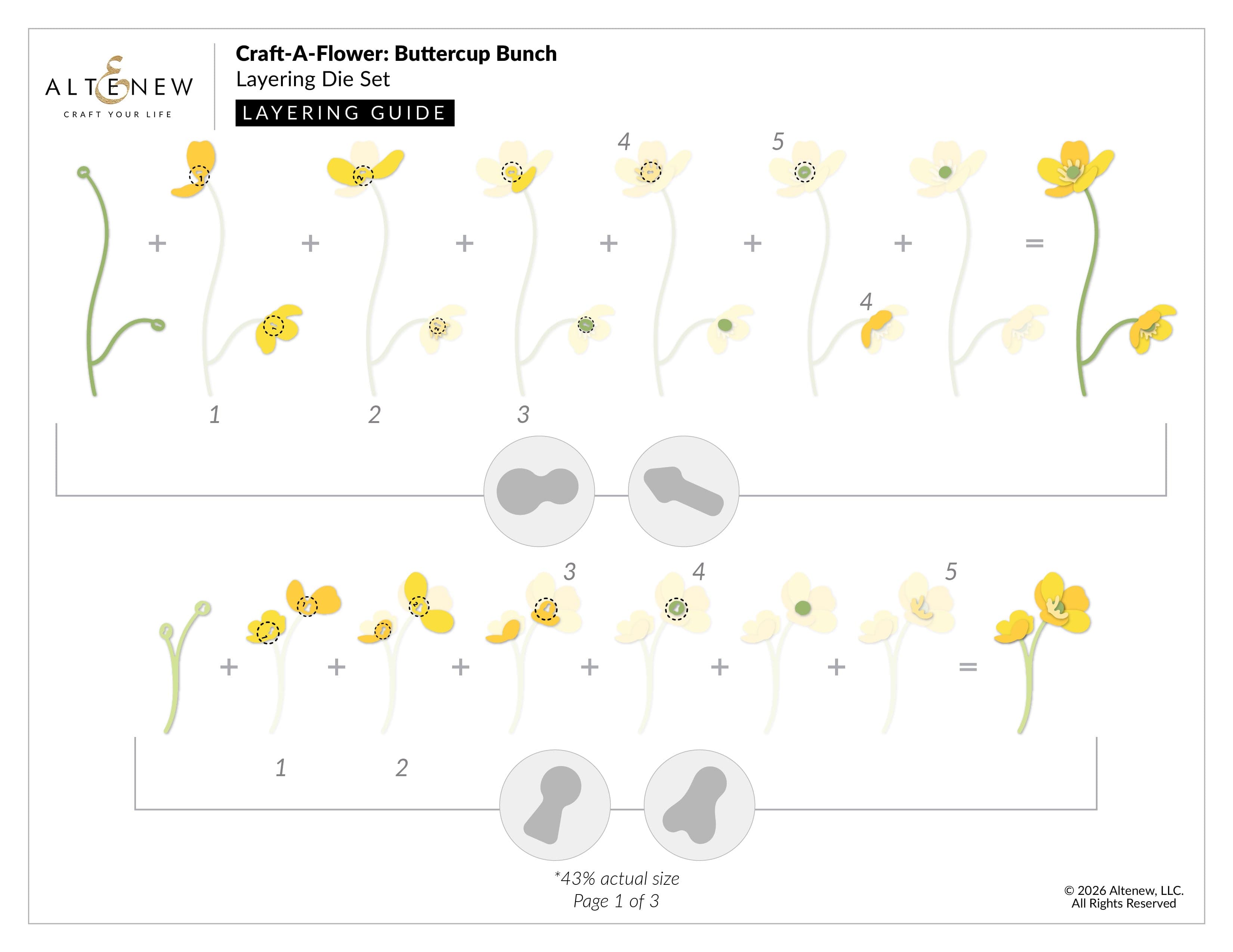 altenew-craft-a-flower-buttercup-bunch-stanzen-set image 3