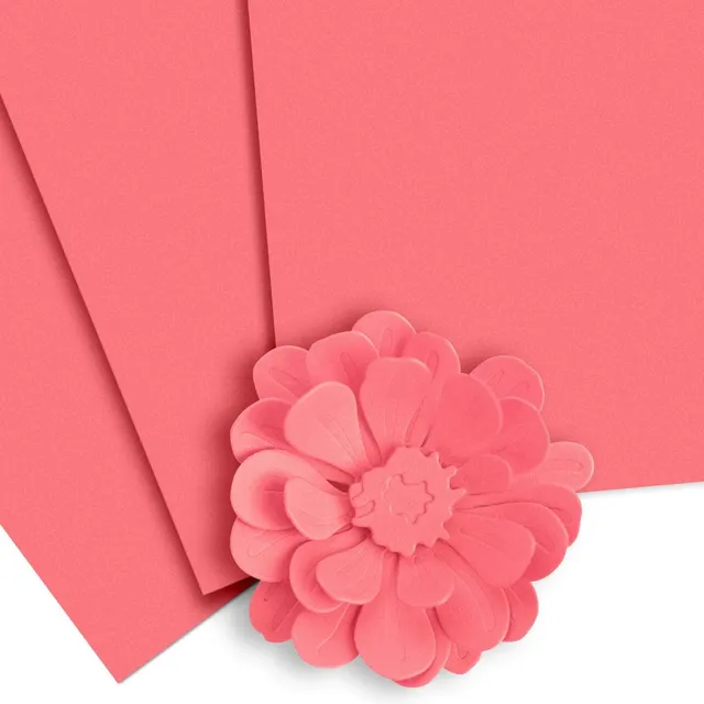 altenew-coral-bliss-cardstock-10-blatt-ros-216-g image 1