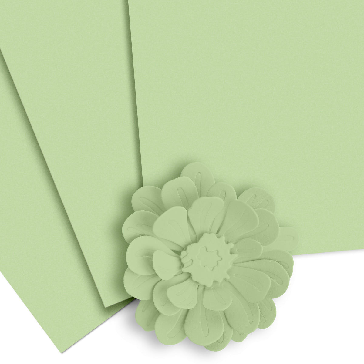 altenew-frayed-leaf-cardstock-10-blatt-pastellgr-n image 1