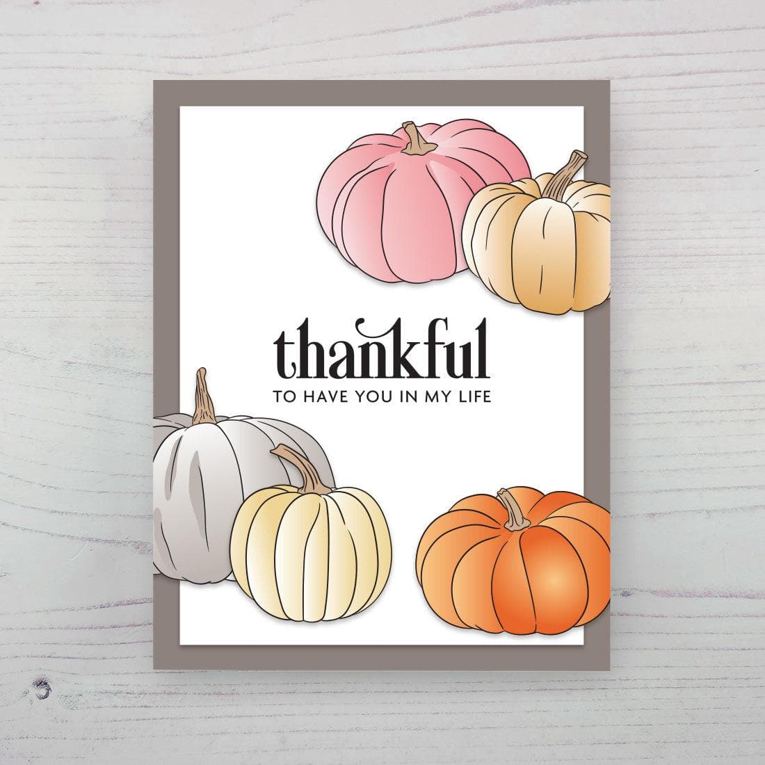 altenew-one-go-sweet-pumpkins-bundle-herbst-6x8 image 6