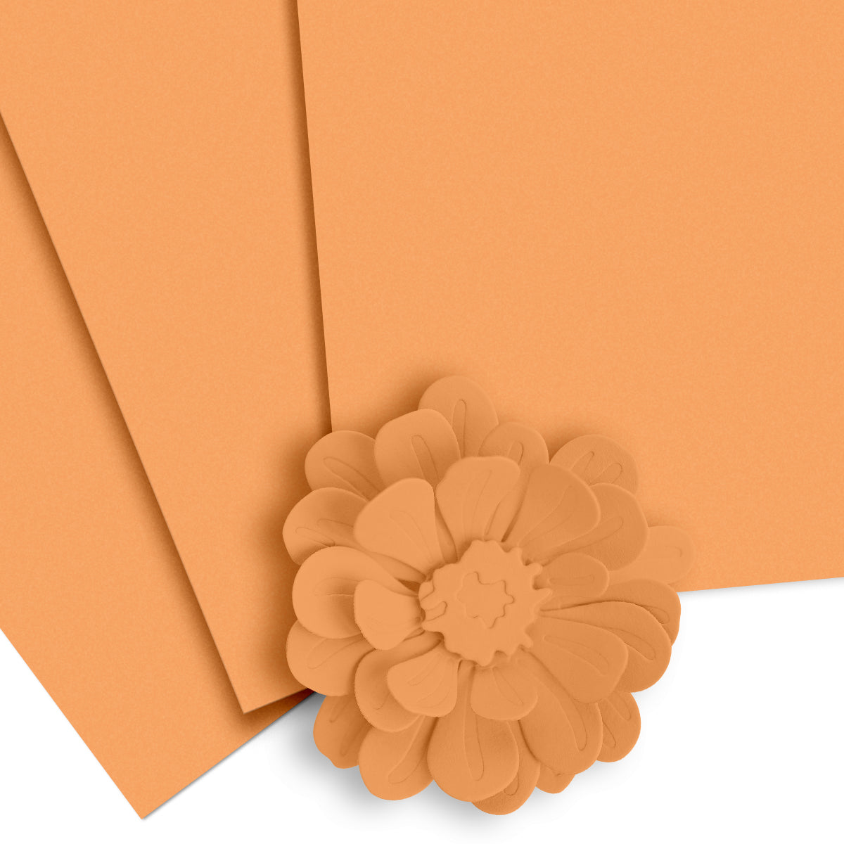 altenew-crafty-necessities-chamomile-cardstock-10-blatt image 1