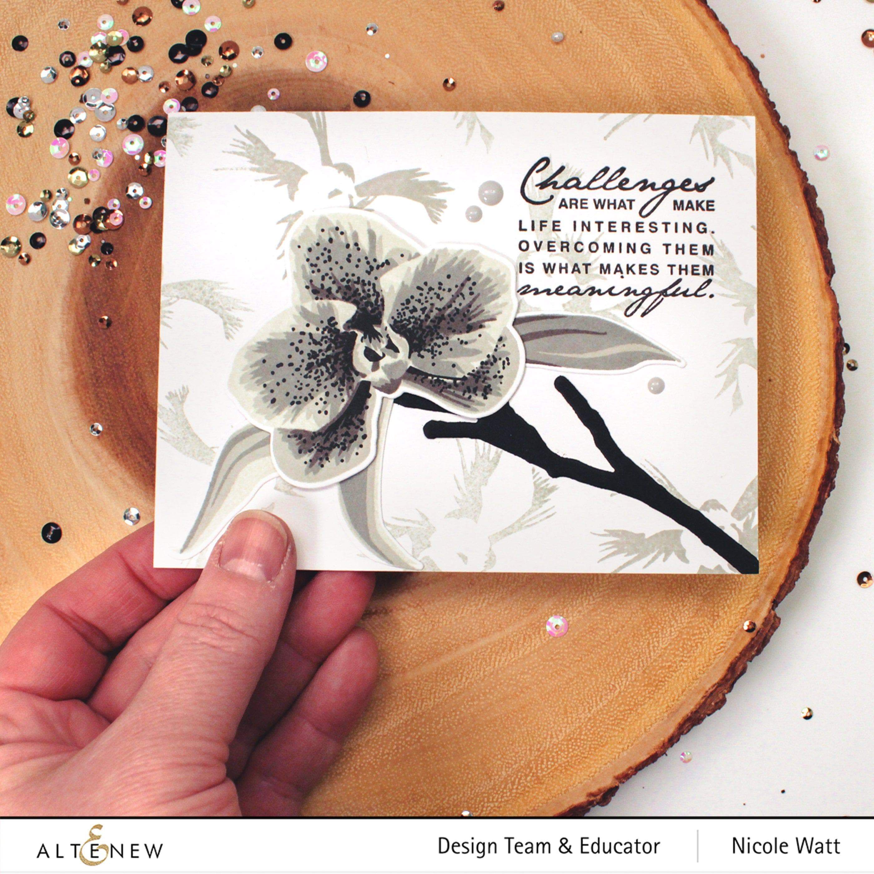 altenew-block-sentiments-stempel-komplett-bundle-spr-che image 7
