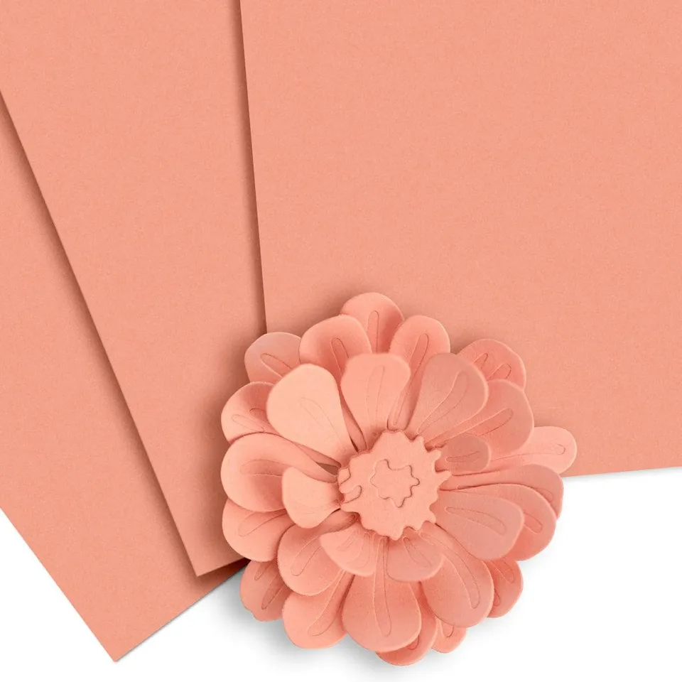 altenew-rouge-cardstock-papier-10-blatt-216-gsm-pfirsich image 1