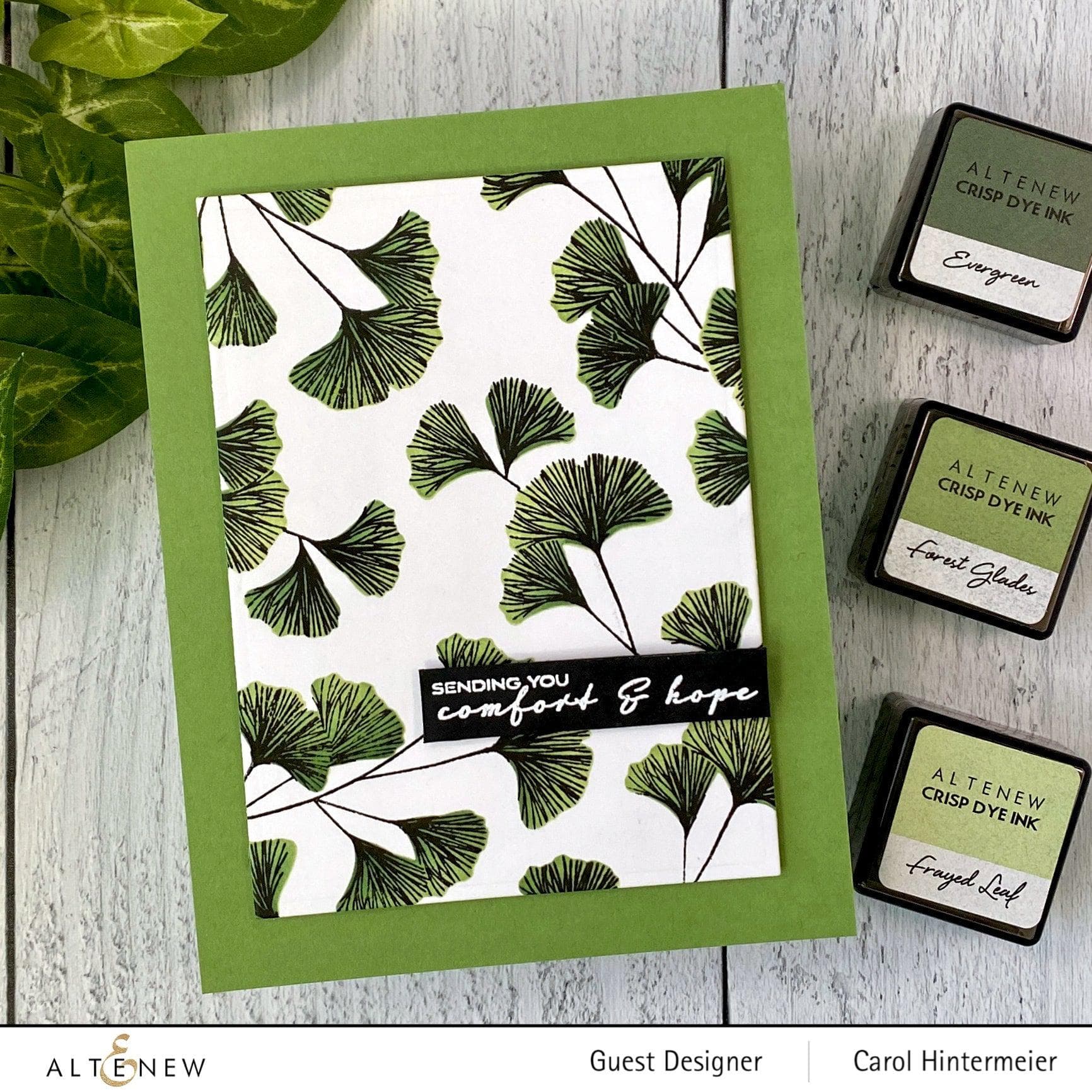 altenew-sweet-ginkgo-coloring-schablone-ginkgo image 3