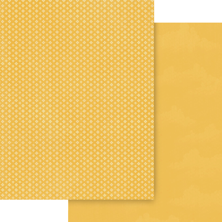 graphic-45-wonder-of-oz-patterns-solids-papier-8-5x11 image 5