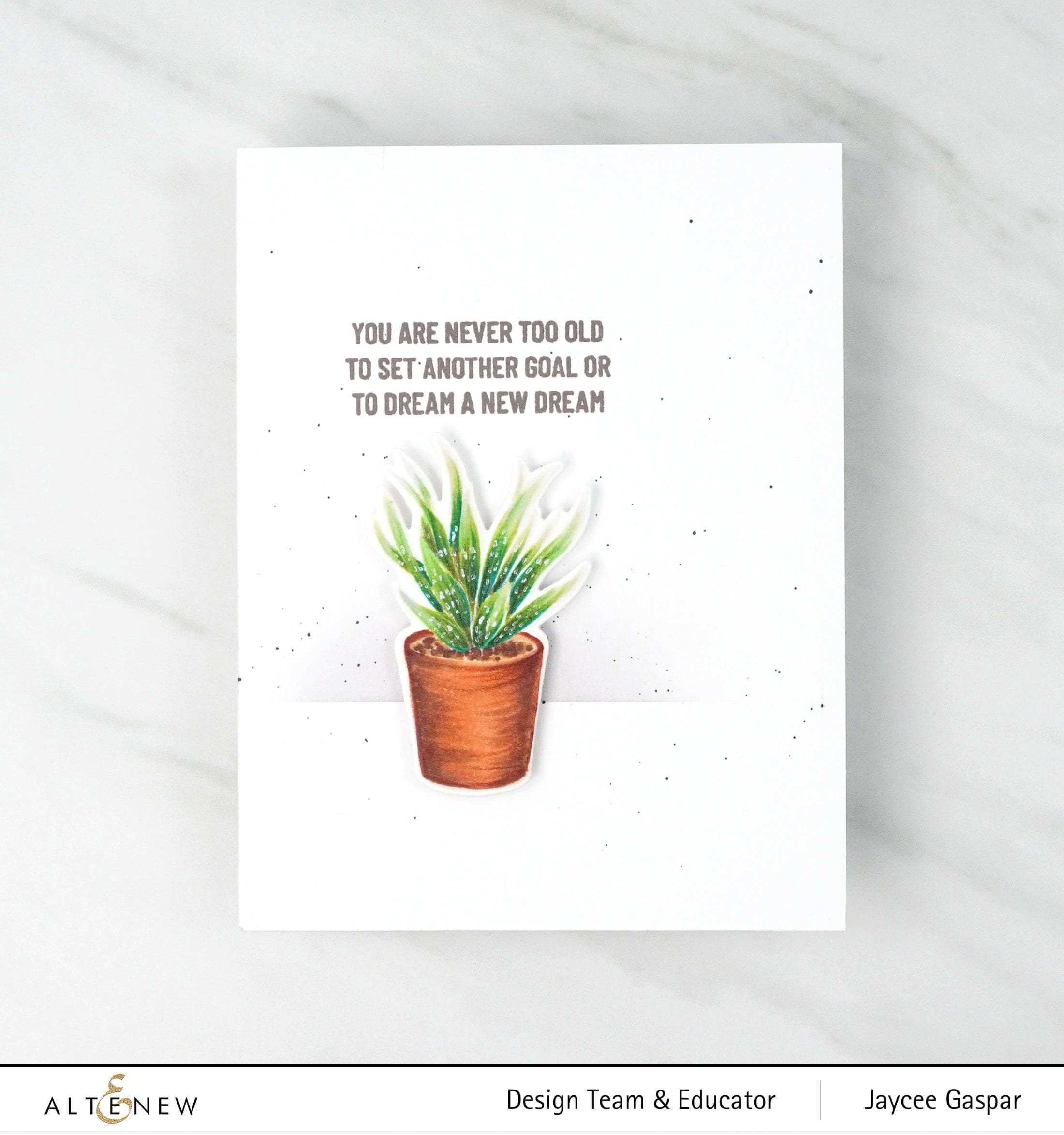 altenew-potted-succulent-stanzenset-sukkulente-1-teilig image 3