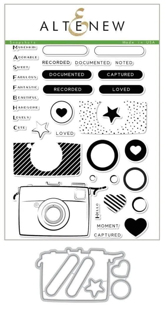 altenew-snapshots-stempelset-stanzen-kamera-6x8 image 1