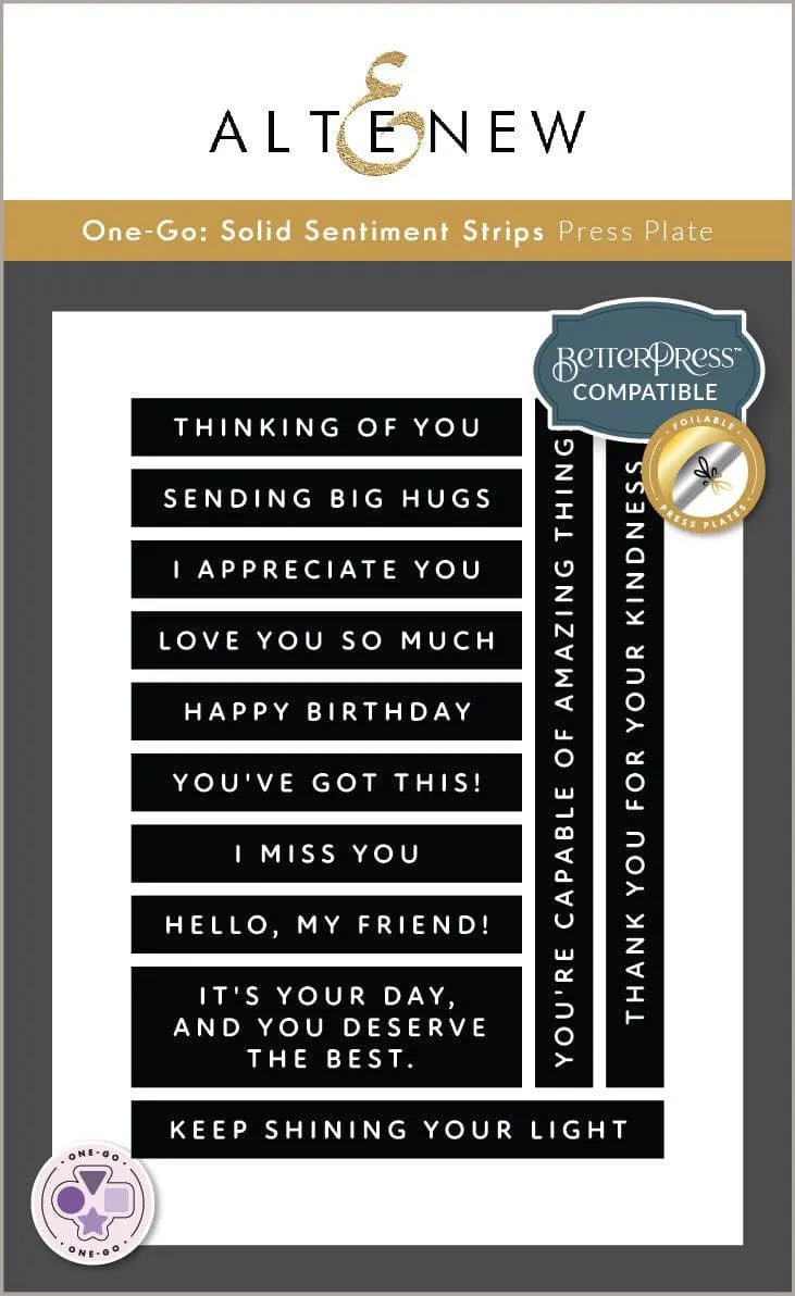 altenew-one-go-solid-sentiment-strips-press-plate-12-spr-che image 1