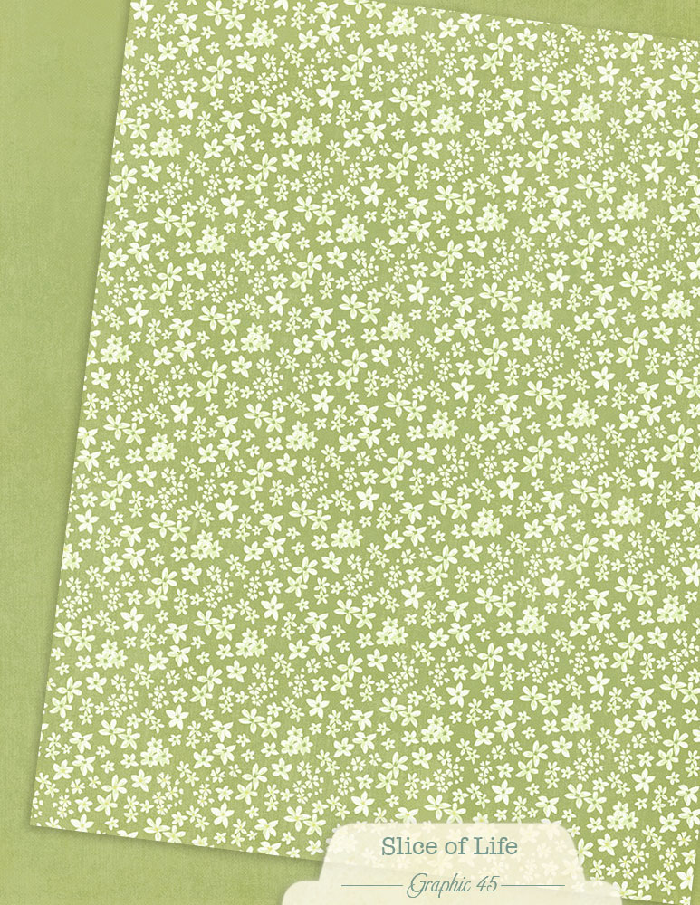 graphic-45-slice-of-life-papier-8-5x11-patterns-solids-16-blatt image 7