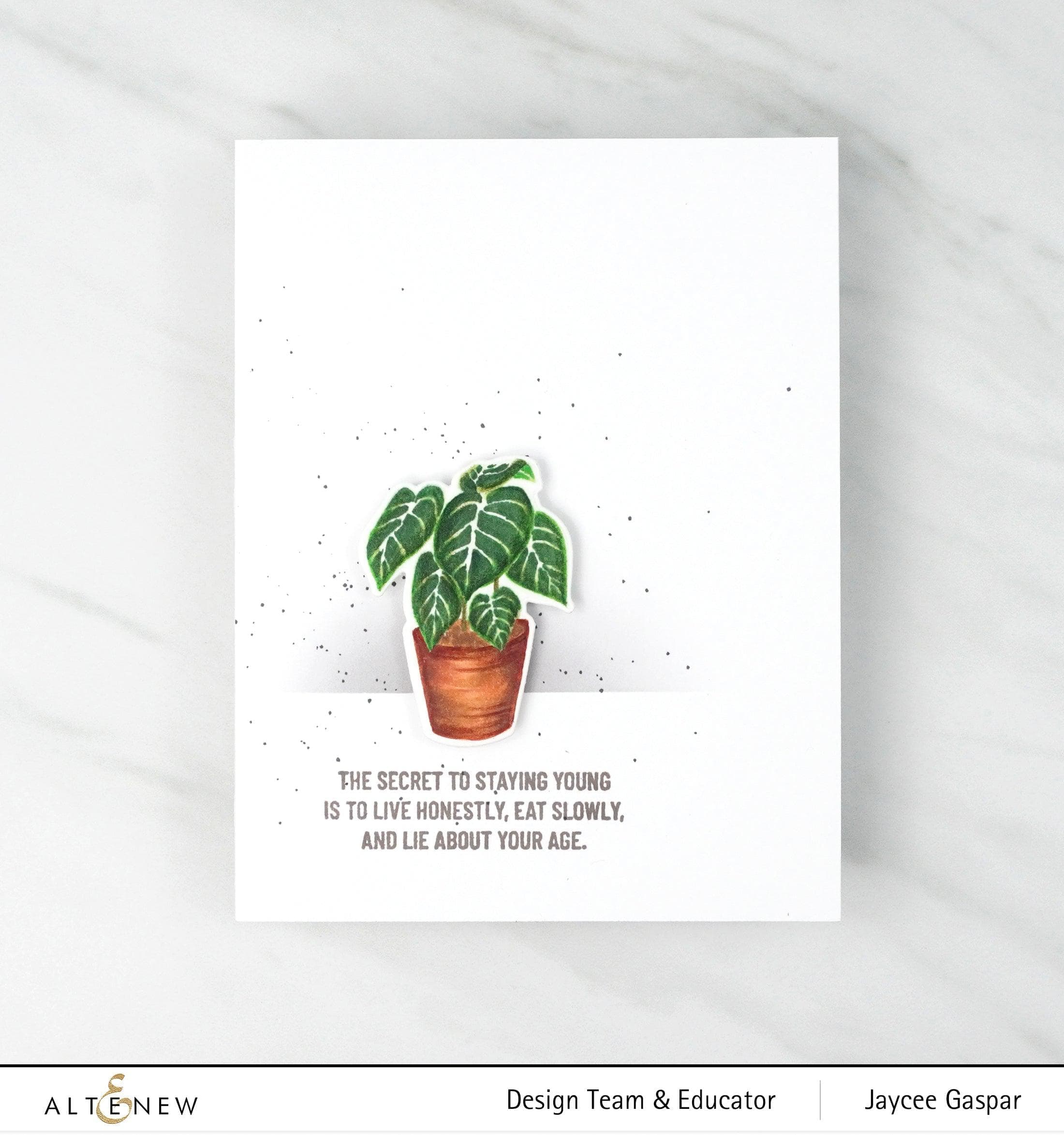 altenew-adorable-anthurium-die-set-stanzschablone-mini image 3