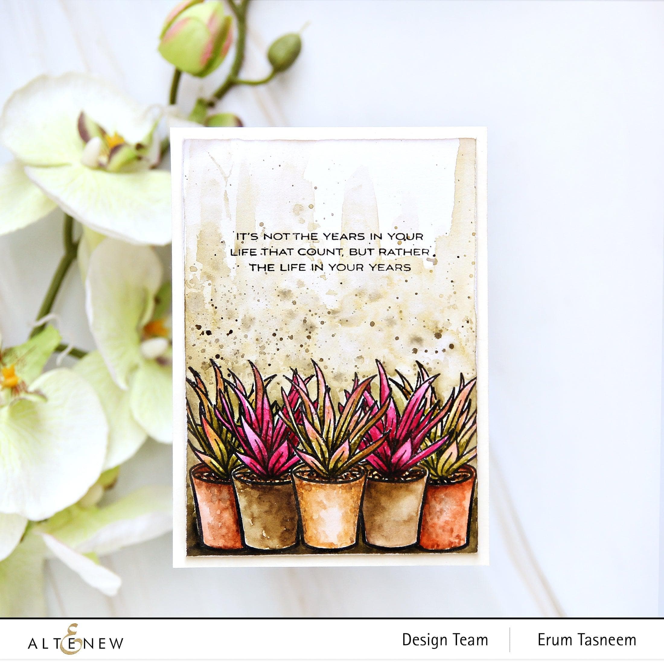altenew-potted-succulent-stanzenset-sukkulente-1-teilig image 5