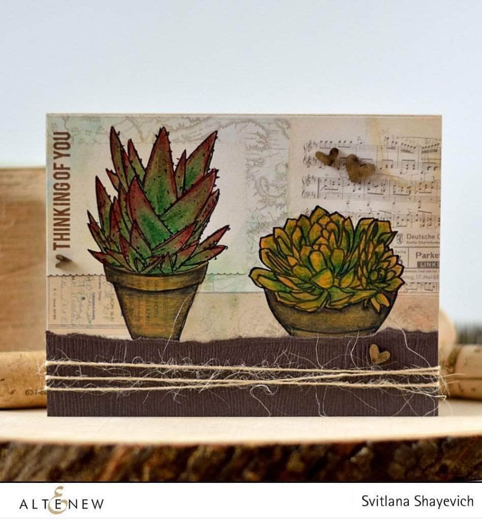 altenew-succulents-stempelset-4x6-sukkulenten-gr-n image 6