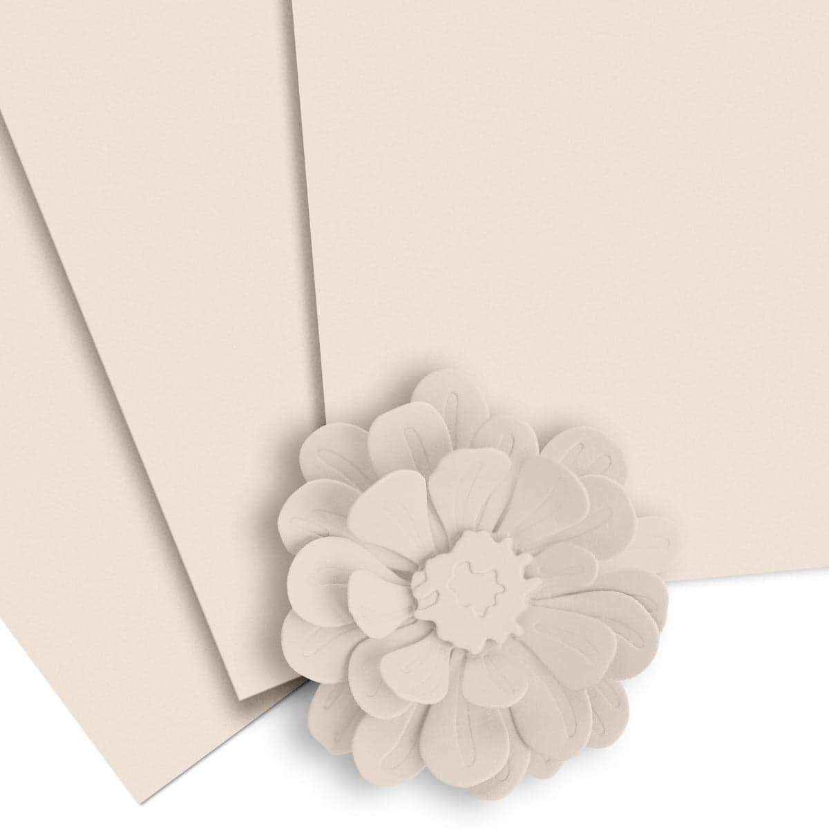 altenew-shattered-shell-fotokarton-10-blatt-beige-rosa-216g image 1