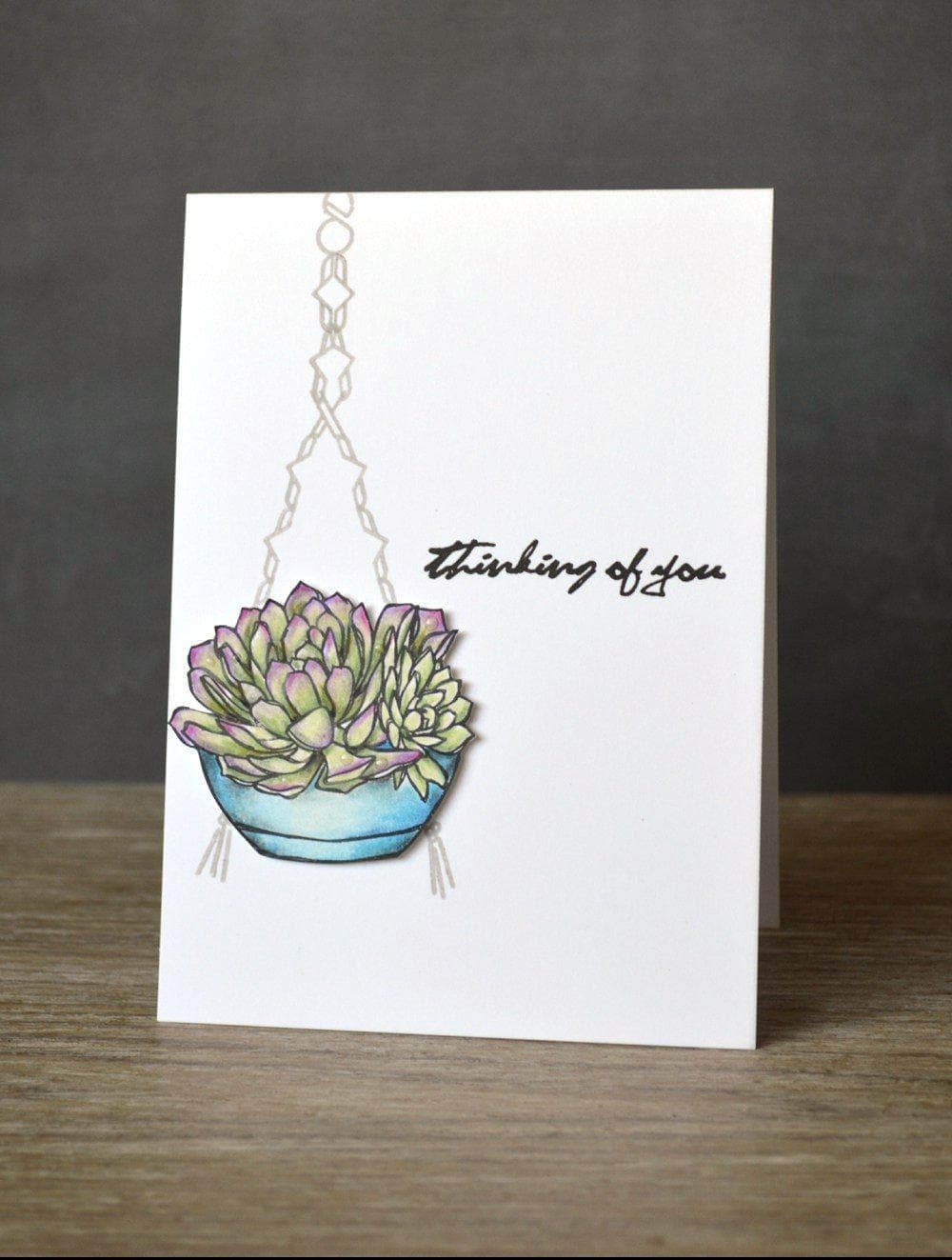 altenew-succulents-stempel-stanzen-set-sukkulenten image 3