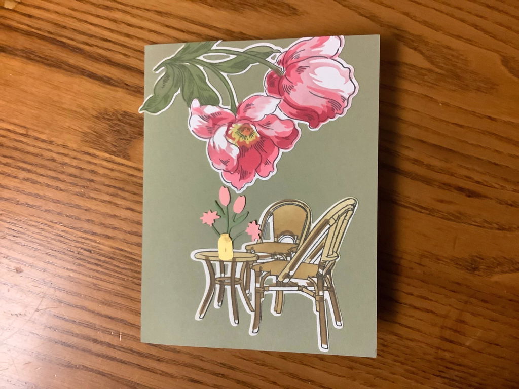 Tulpen von oben