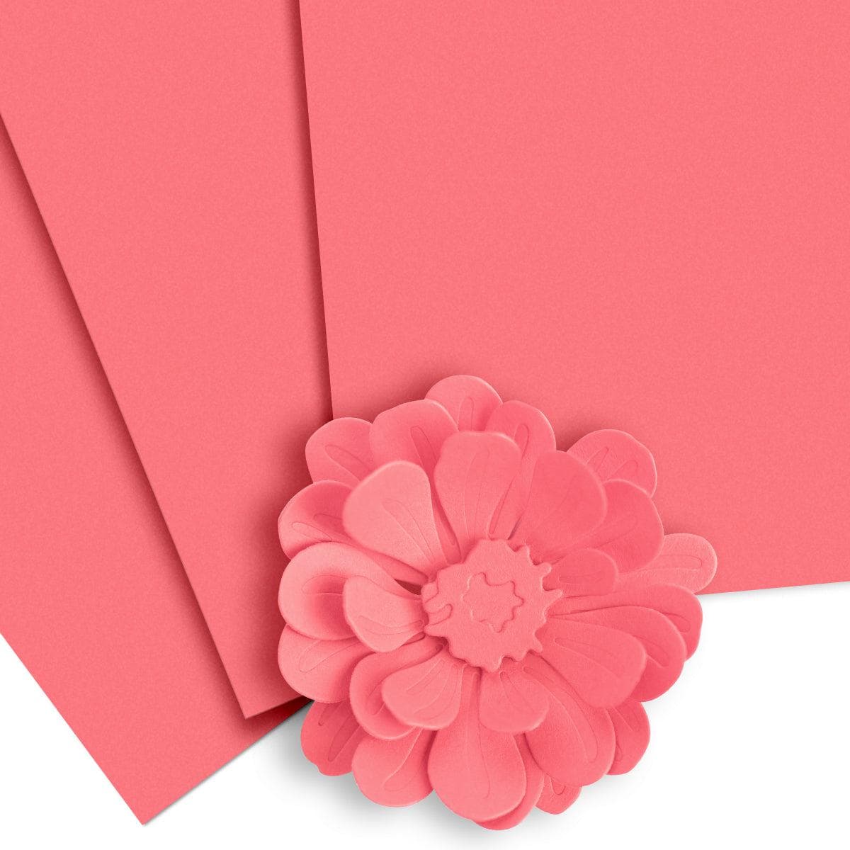 altenew-coral-bliss-cardstock-10-blatt-ros-216-g image 1