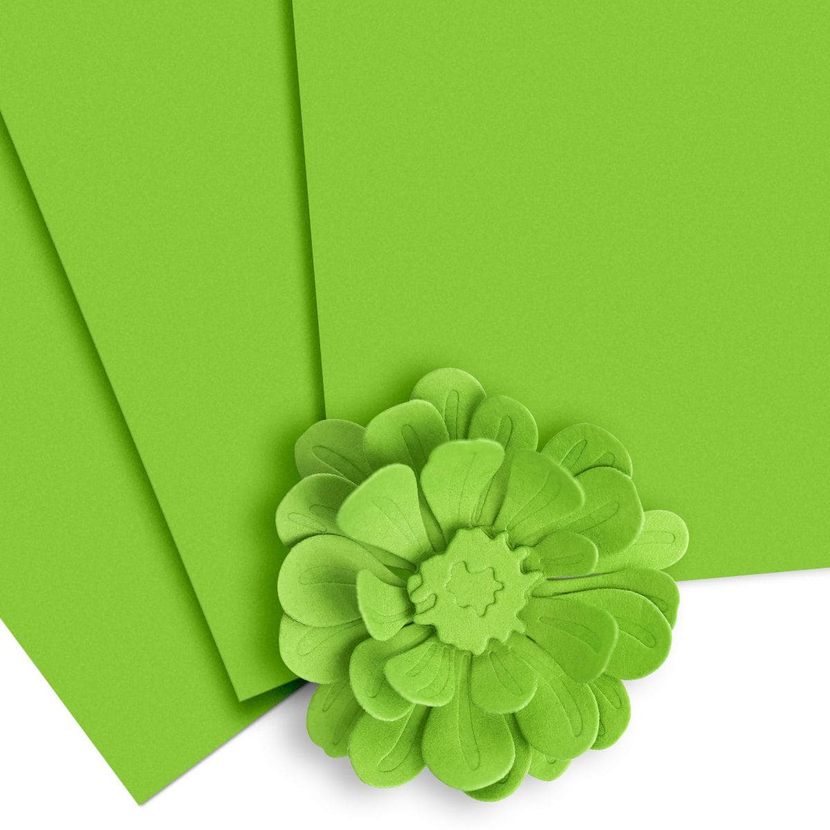 altenew-paper-more-parrot-cardstock-tonkarton-parrot-10-blatt image 1