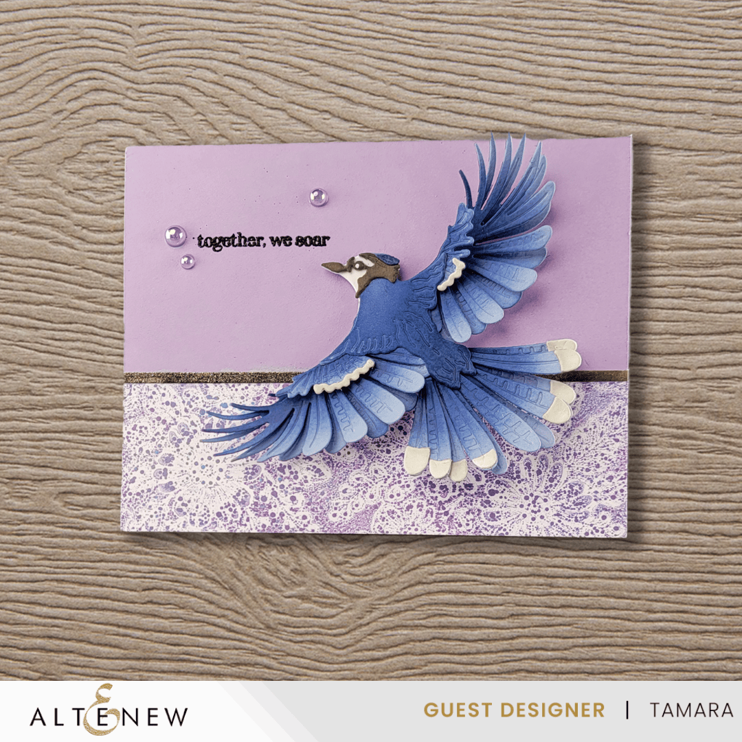 altenew-feathered-beauty-stanzen-vogel-blau-2-tlg image 5
