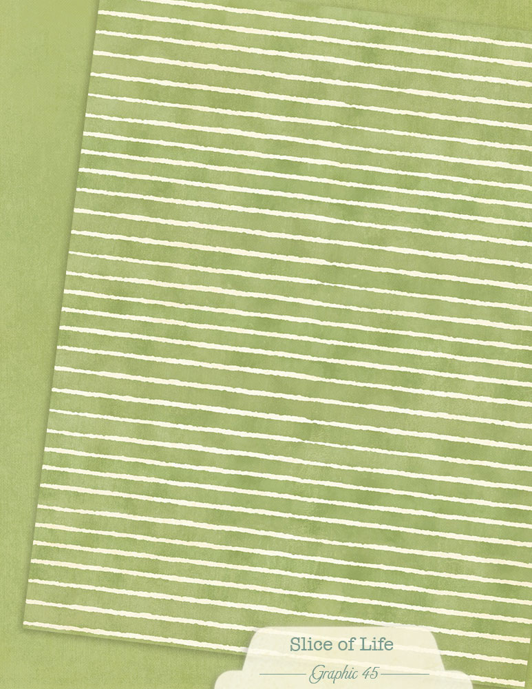 graphic-45-slice-of-life-papier-8-5x11-patterns-solids-16-blatt image 6