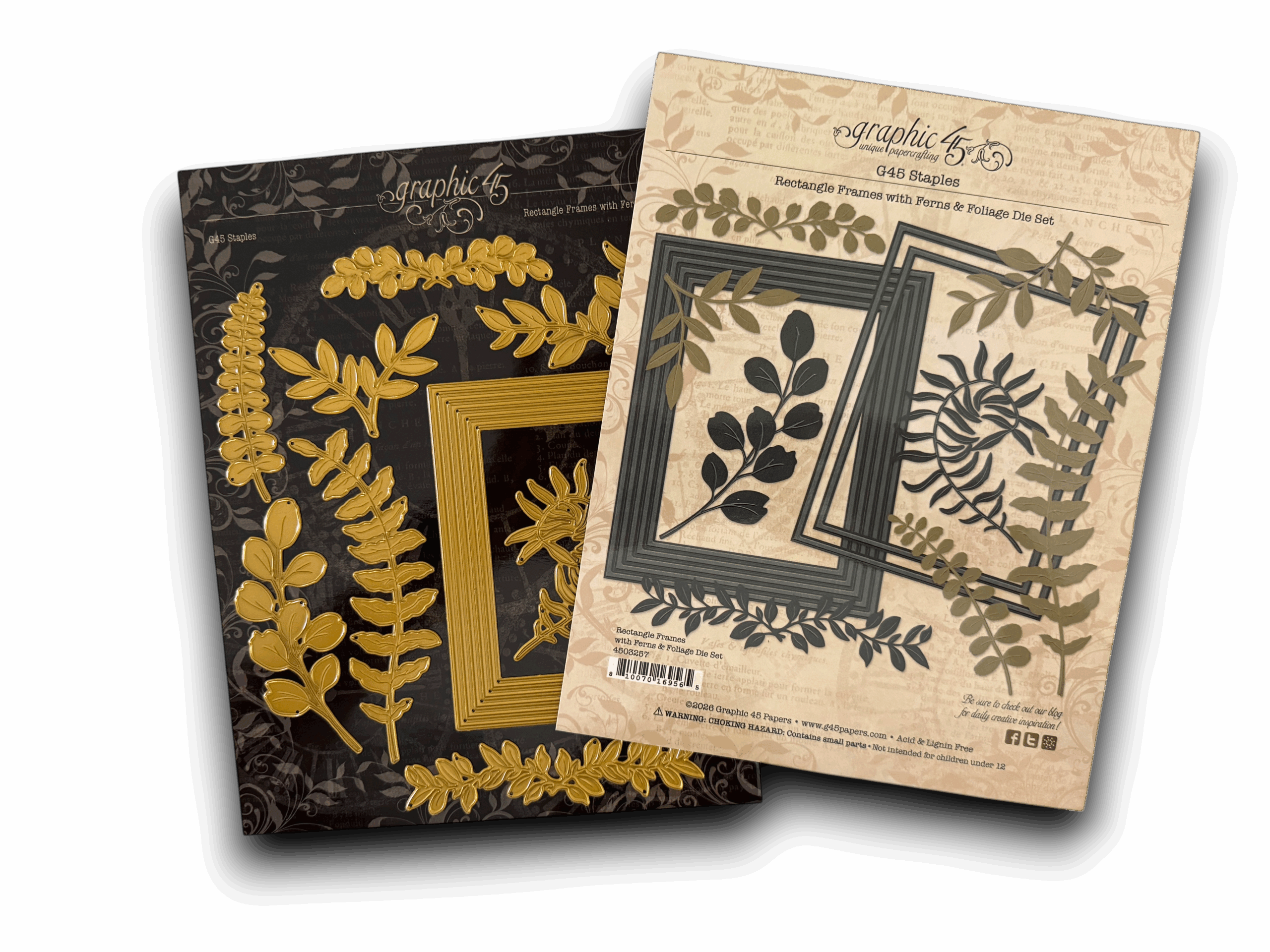 graphic-45-rectangle-frames-ferns-stanzformen-die-set image 1