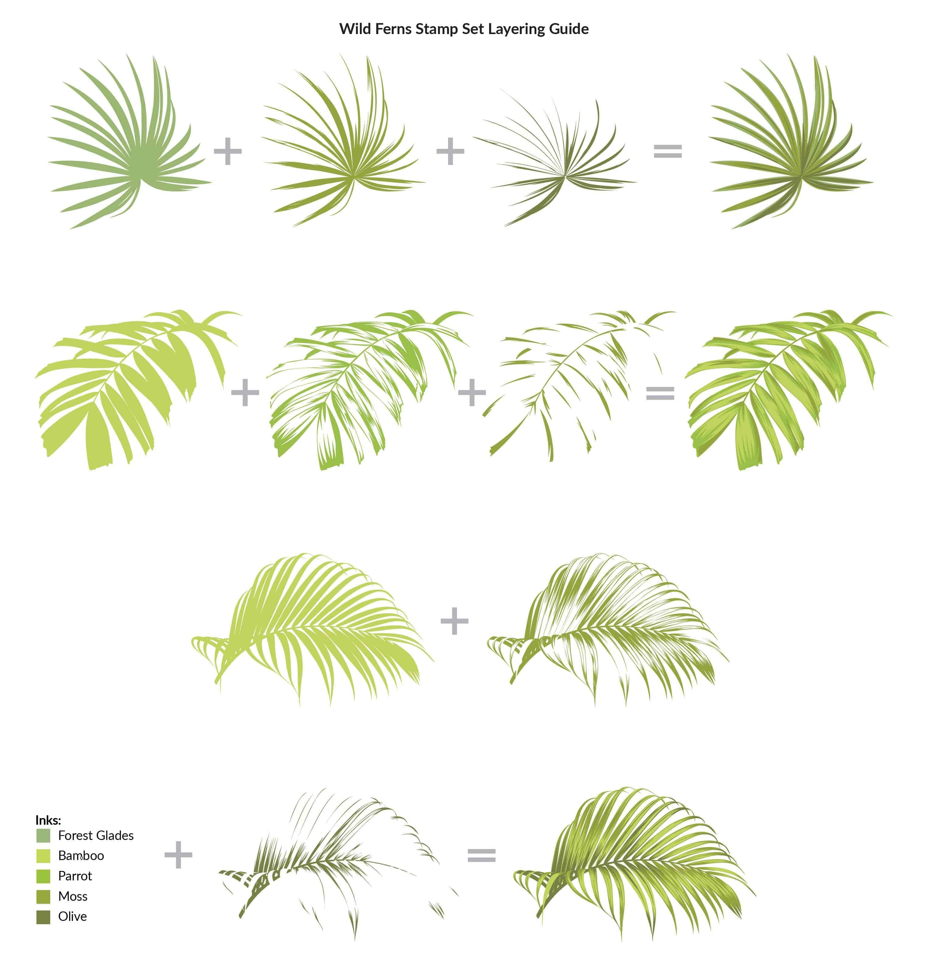 altenew-wild-ferns-stempelset-6x8-farn-natur image 3