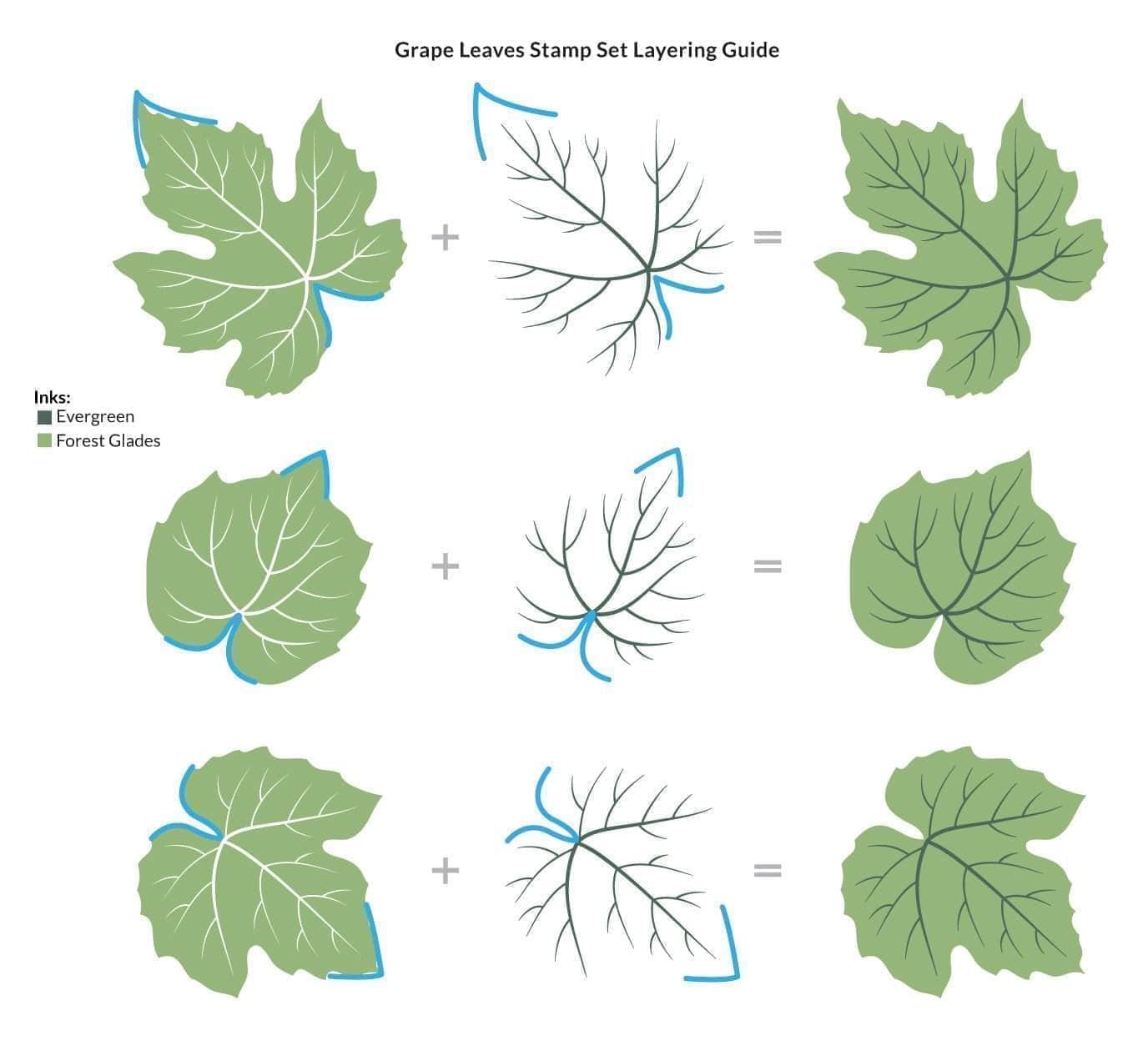 altenew-grape-leaves-stempelset-bl-tter-6x8-zoll image 3