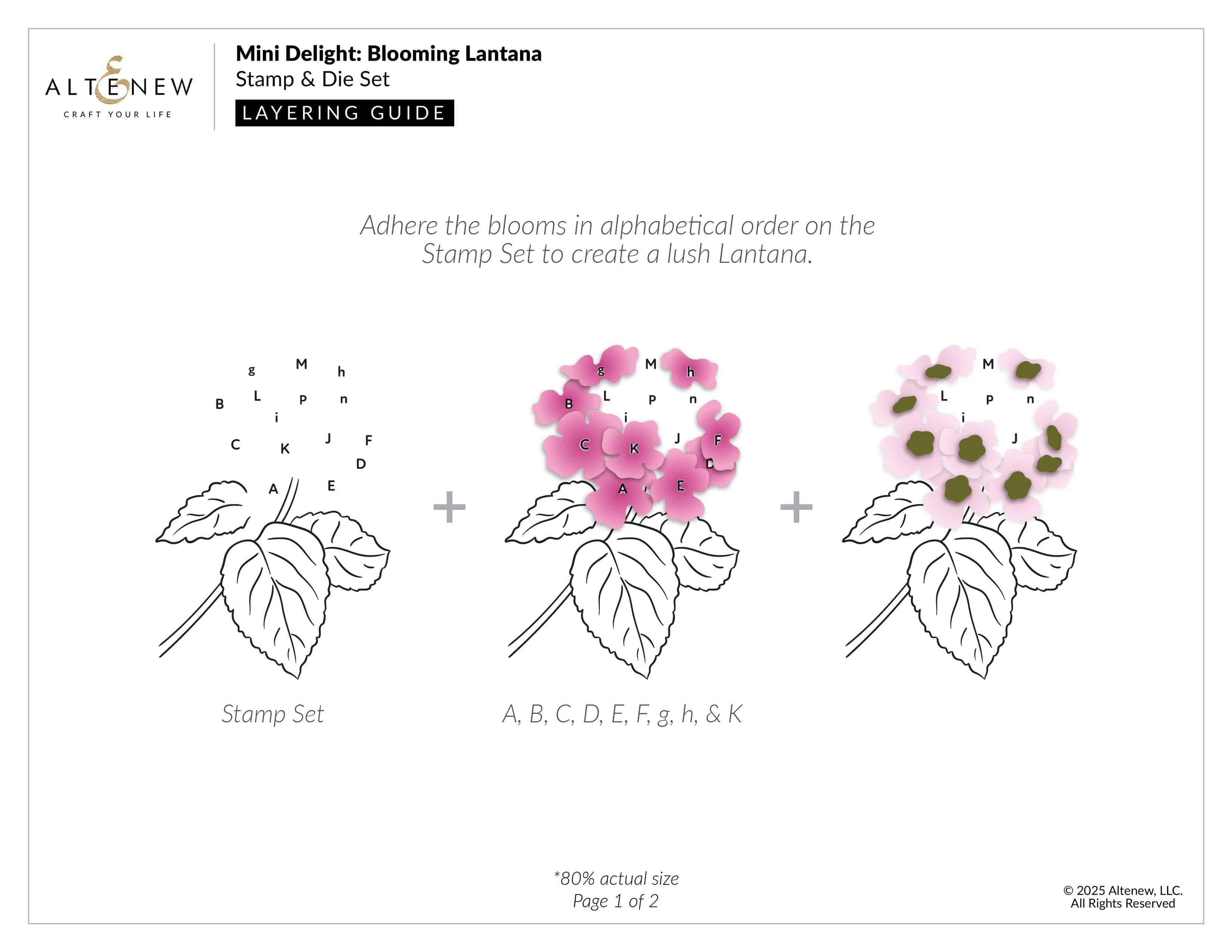 altenew-mini-delight-blooming-lantana-stempel-stanzen-set image 4