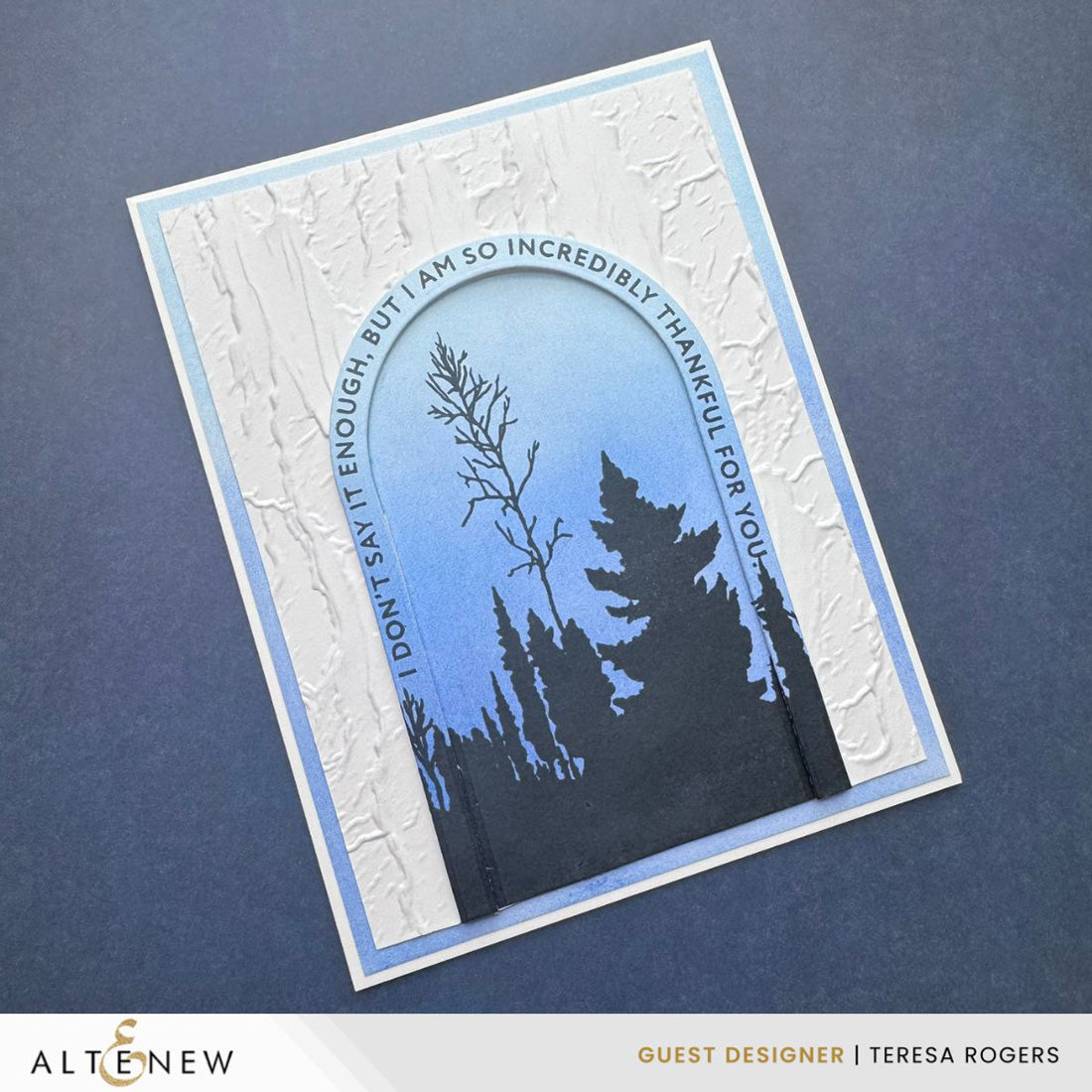 altenew-arched-sentiments-stempelset-spr-che-4x6 image 8