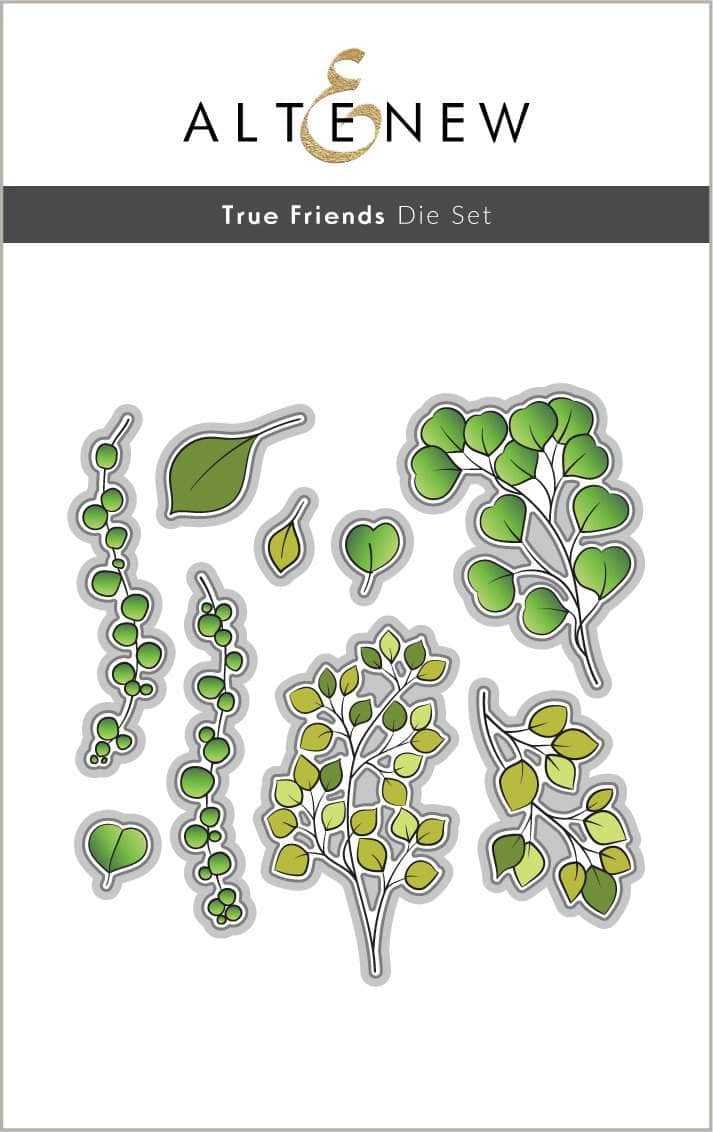 altenew-true-friends-die-set-stanzschablone-schrift-9-teilig image 1