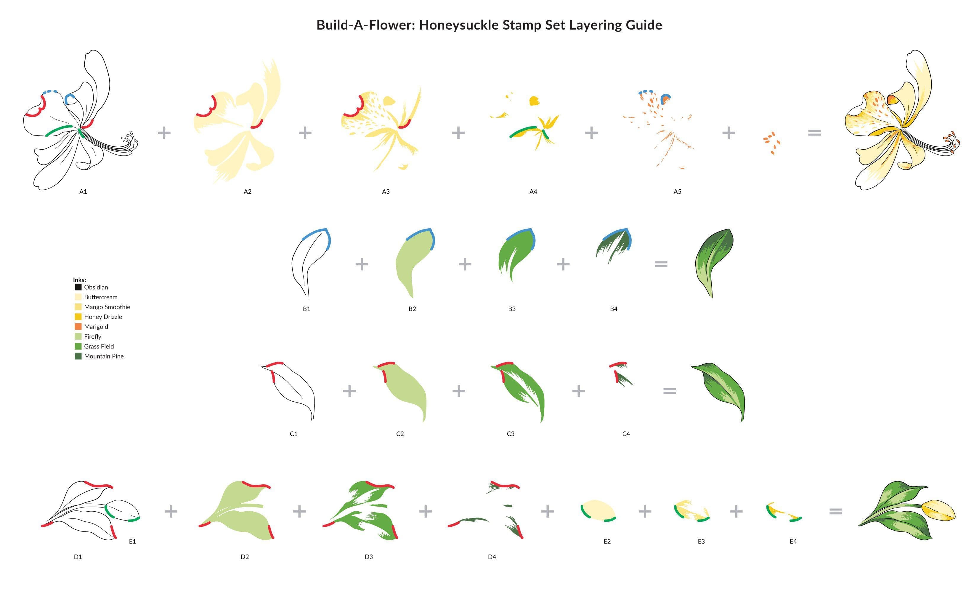 altenew-build-a-flower-honeysuckle-stempelset-mit-stanzen image 5