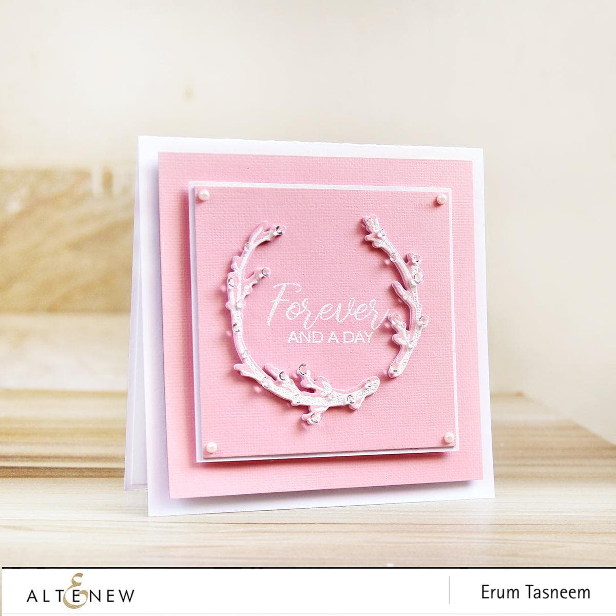 altenew-snapshots-of-our-story-die-bundle-stanzen-8-sets image 2
