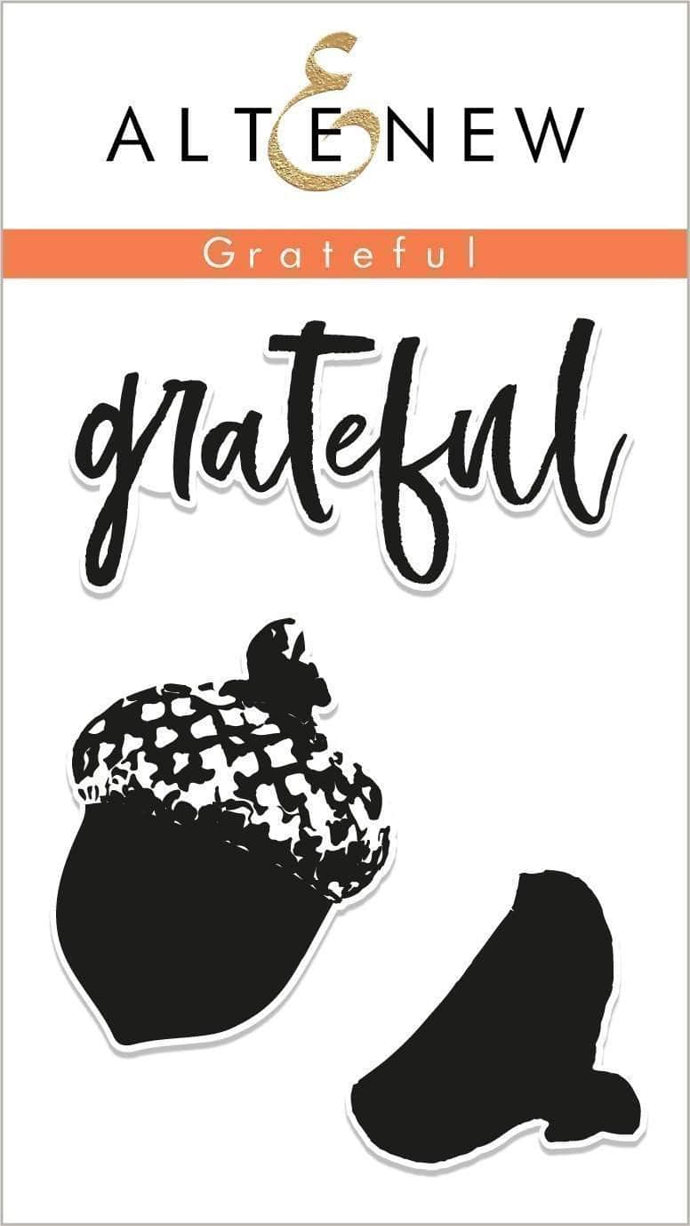 altenew-grateful-stempelset-eichel-2x3-zoll image 1