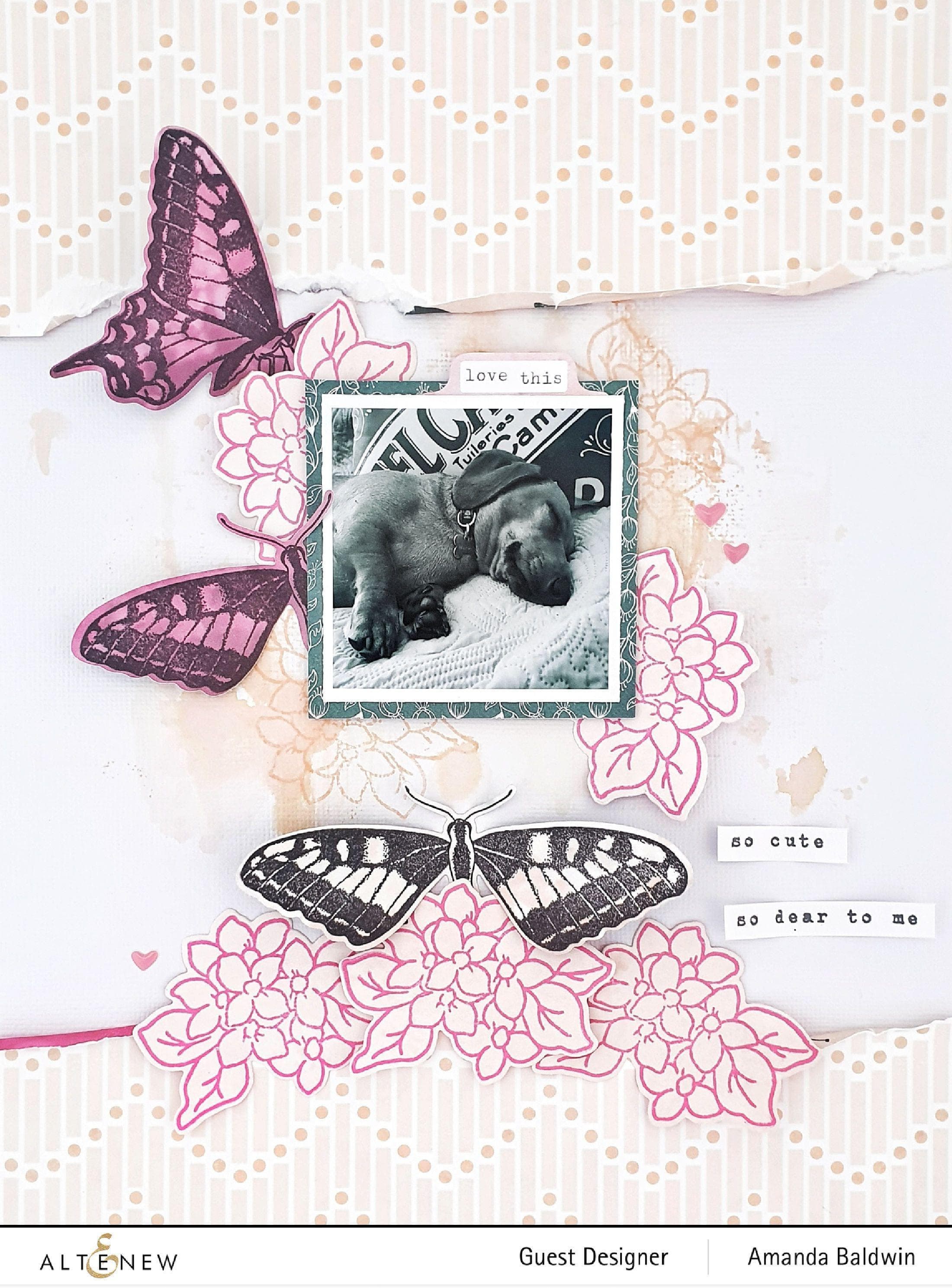 altenew-dovetail-butterflies-stempelset-complete-bundle-schmetterling image 7