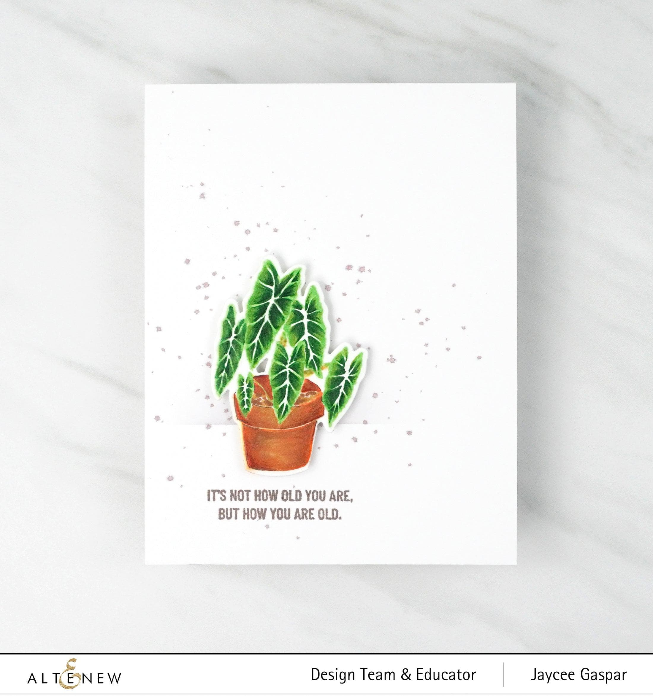 altenew-stamps-elegant-alocasia-stempelset-kontur-2x3-zoll image 2