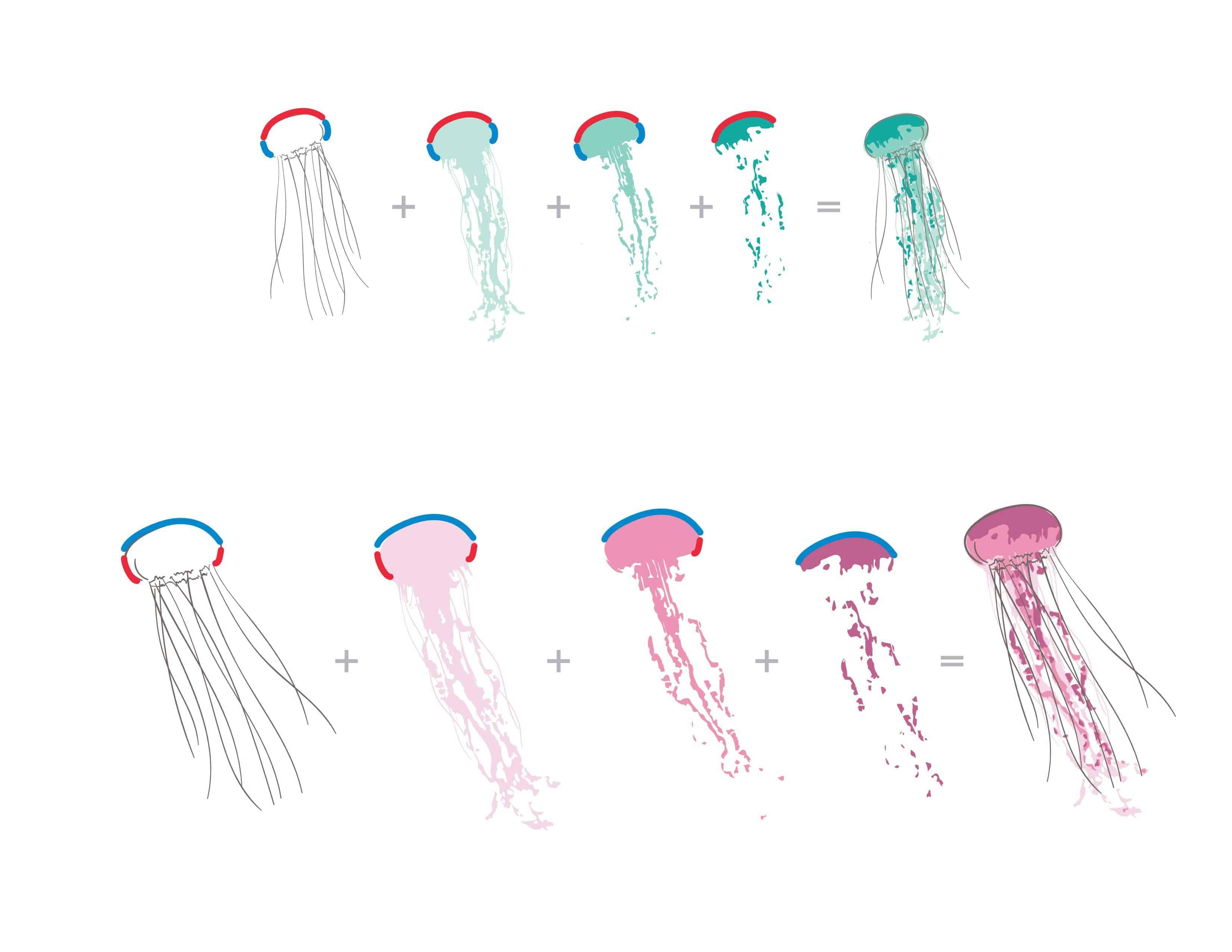 altenew-painted-jellyfish-stempel-stanzen-bundle-quallen-4x6 image 3