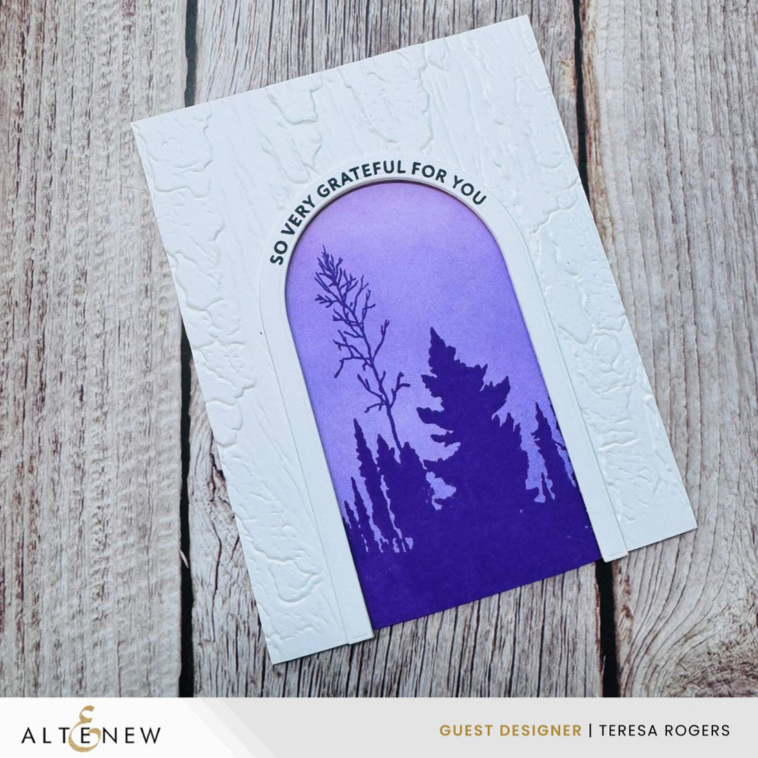 altenew-weathered-bark-pr-gefolder-6x6-holz-3d image 3