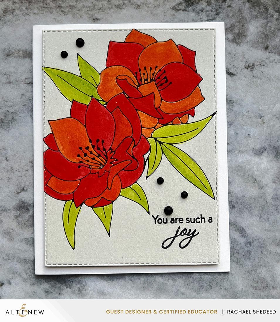 altenew-spark-joy-black-hellebore-stanzen-set-christrose image 4