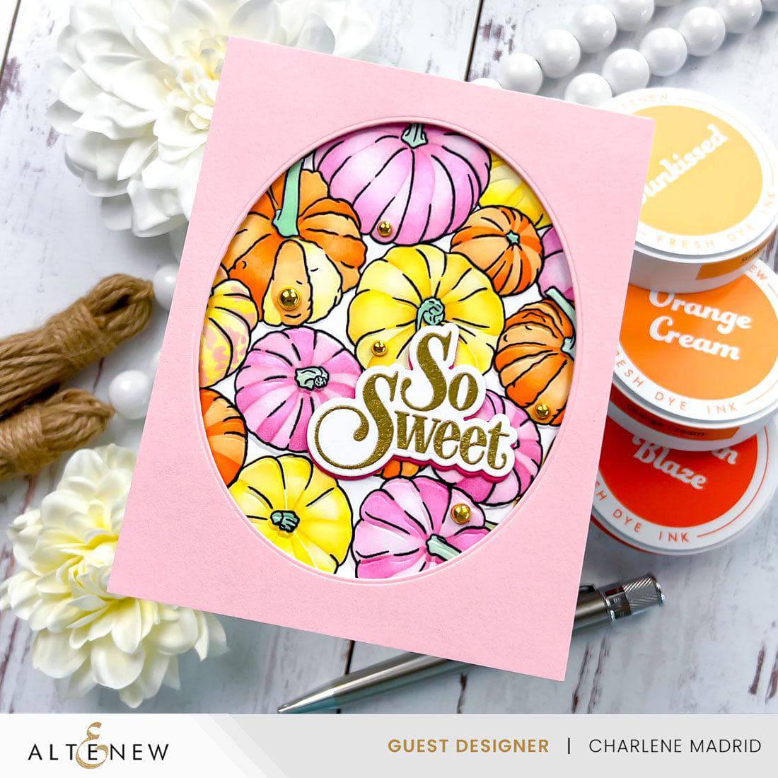 altenew-embossing-pumpkin-patch-3d-pr-gefolder-6x6-k-rbis image 2