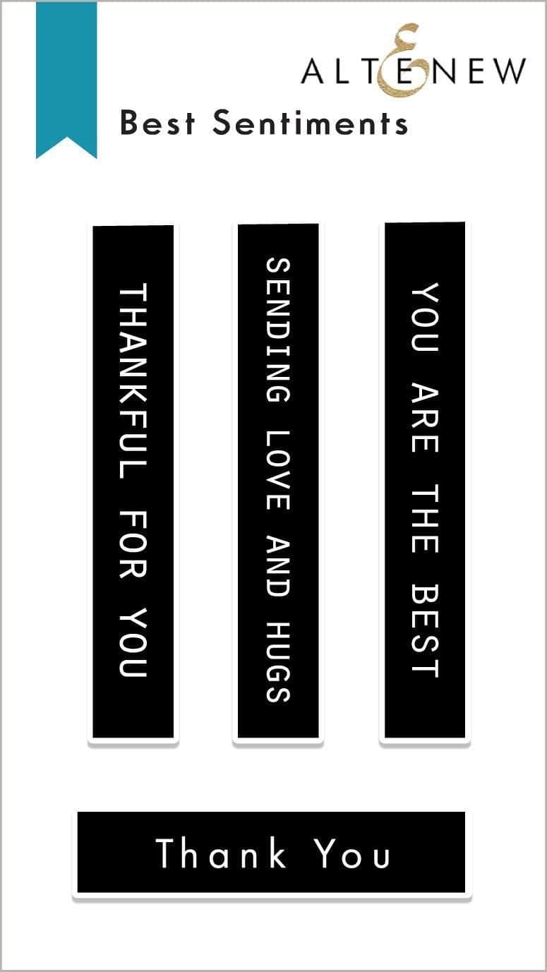 altenew-best-sentiments-stempelset-mini-2x3-dankespr-che image 1
