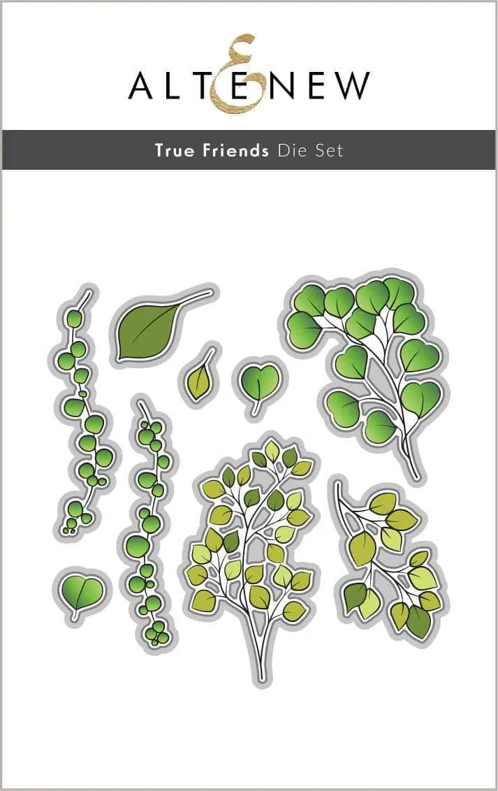altenew-true-friends-die-set-stanzschablone-schrift-9-teilig image 1