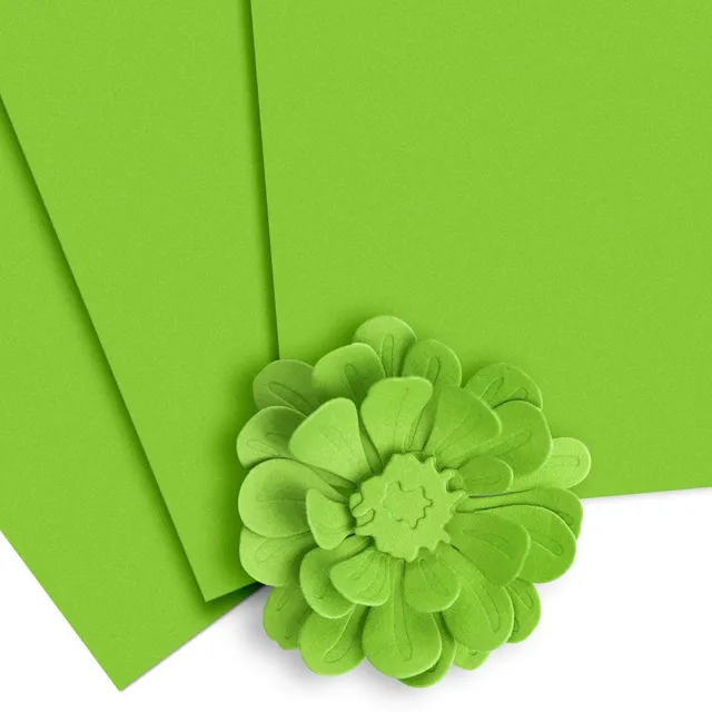 altenew-paper-more-parrot-cardstock-tonkarton-parrot-10-blatt image 1