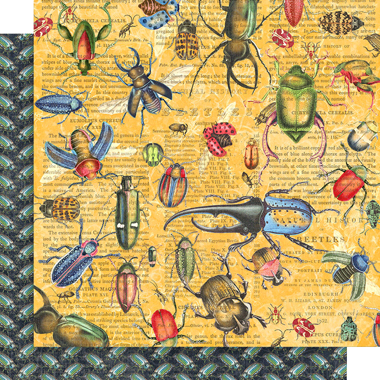 graphic-45-flutter-keepsake-edition-sammelset-152-teile image 5