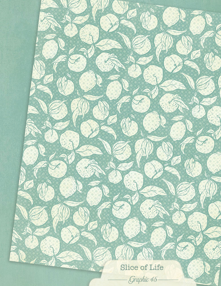 graphic-45-slice-of-life-papier-8-5x11-patterns-solids-16-blatt image 4