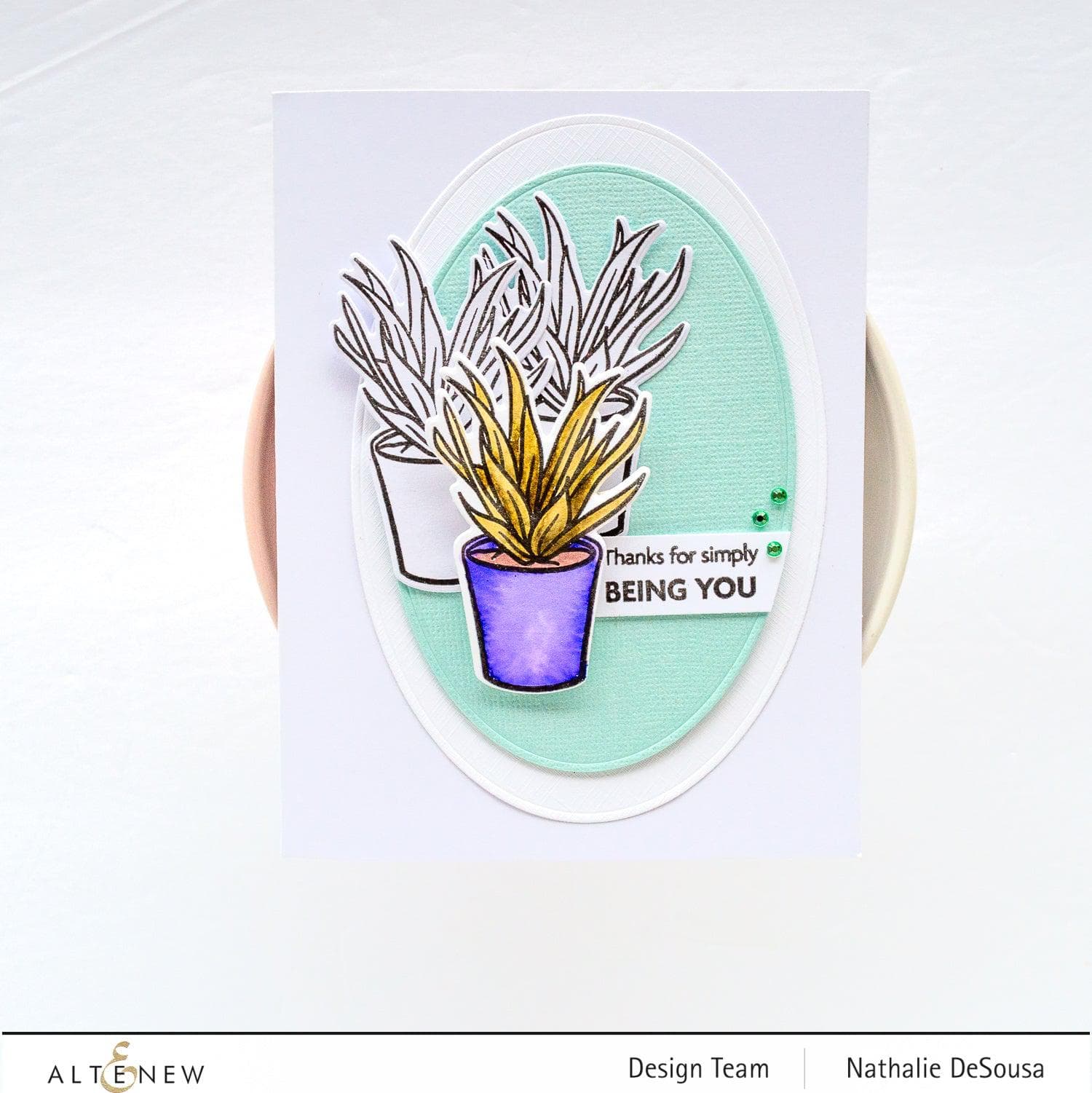 altenew-potted-succulent-stempelset-sukkulente-komplett-bundle image 3