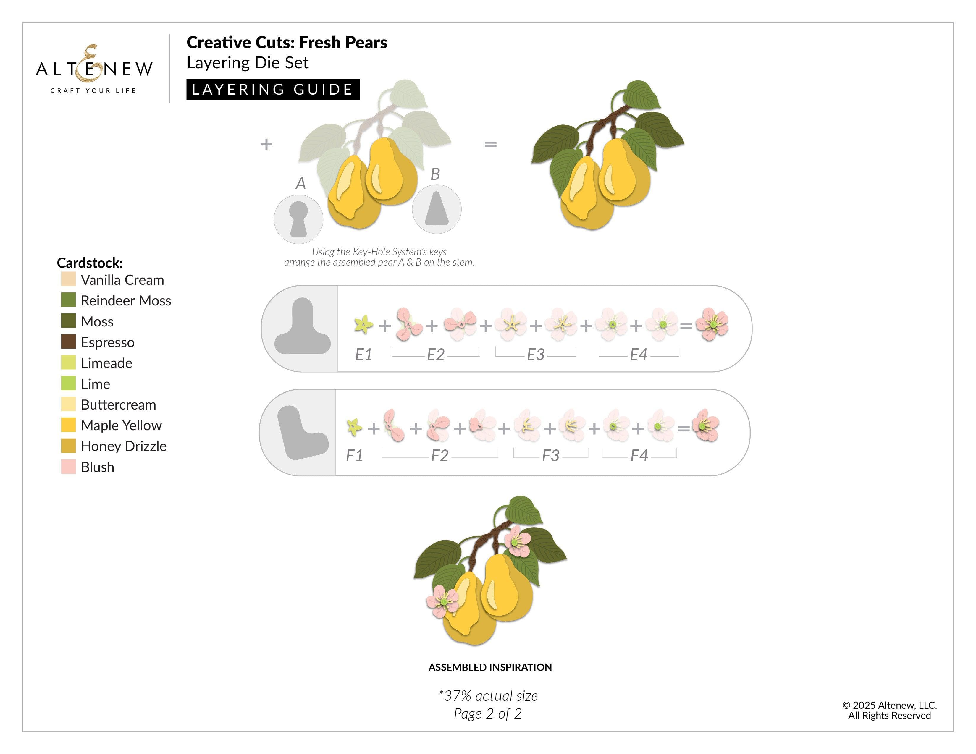 altenew-creative-cuts-fresh-pears-dies-birnen-stanzen image 4