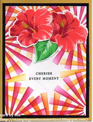 Blüte gelingt