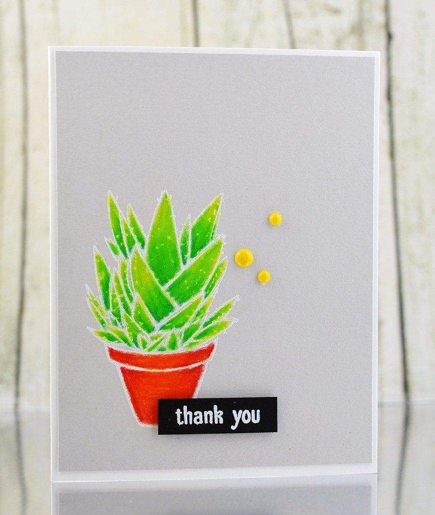 altenew-succulents-stempel-stanzen-set-sukkulenten image 6