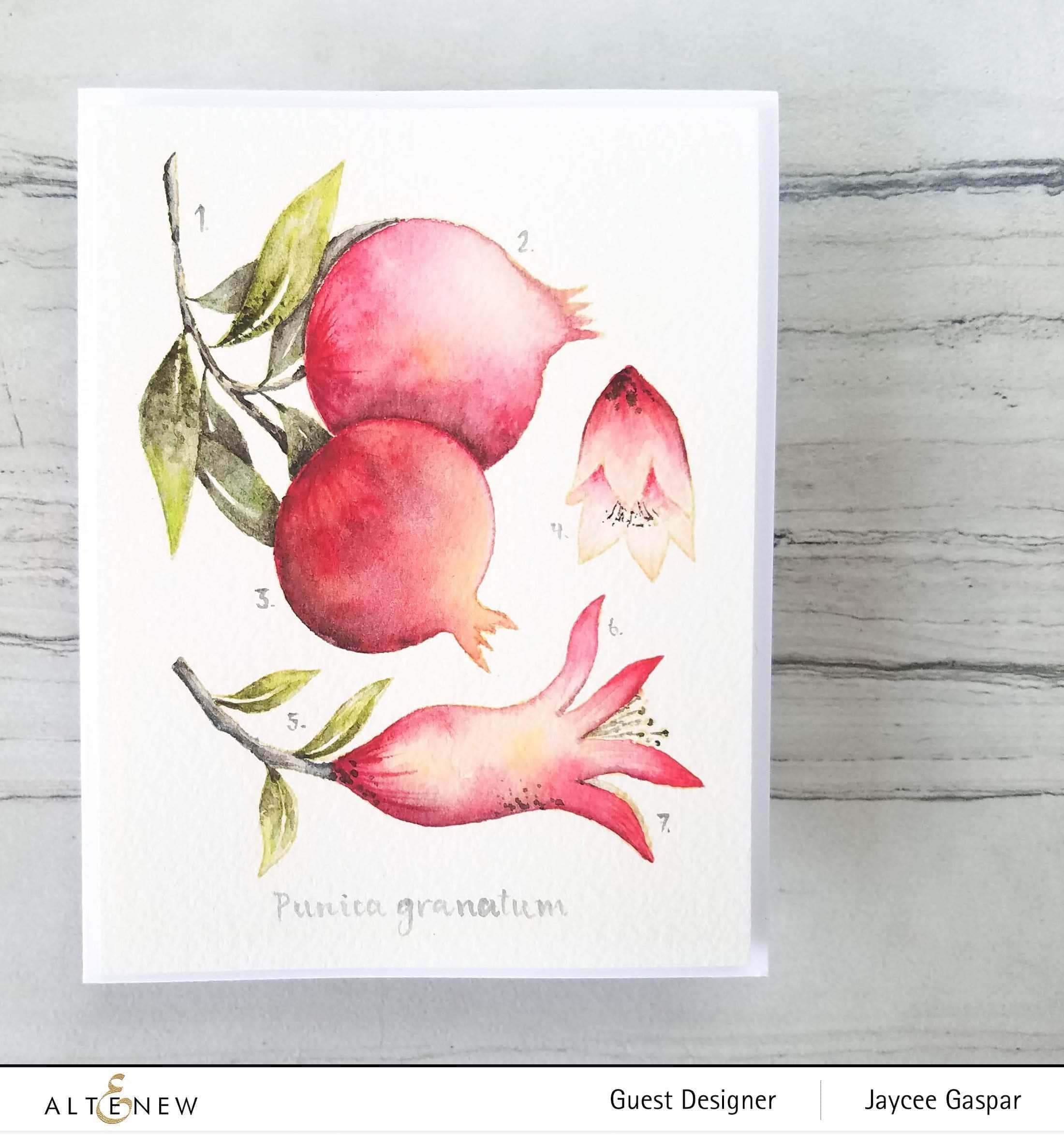 altenew-happy-pomegranates-stempelset-granatapfel-6x8 image 5