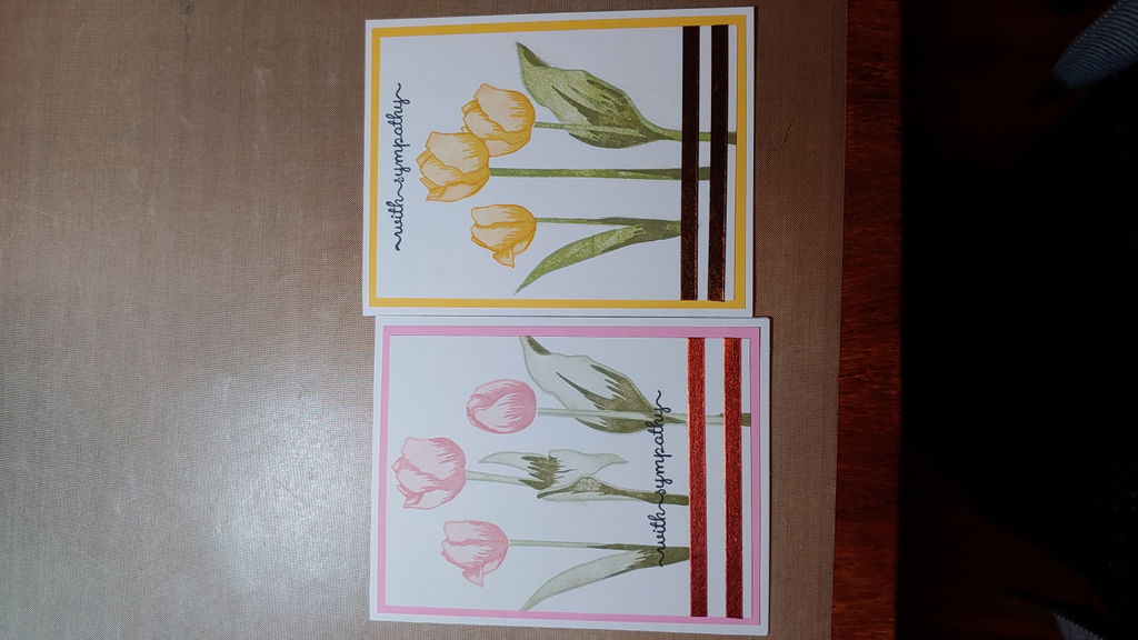 Schöne Tulpe